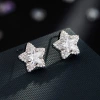 Fashionable and simple star-shaped stud earrings made of copper alloy with micro-inlaid zirconium s925 silver needle, exuding a light luxury and high-end feel. New earrings details Picture